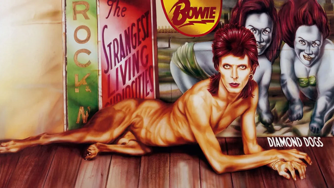Record collectors can embark on an interesting journey with